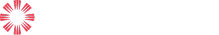 ST Engineering logo